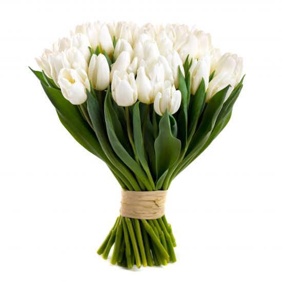 biale-tulipany-od-9-szt.jpg