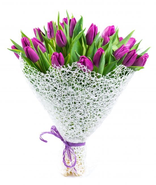tuliapany-fioletowe-od-9-szt.jpg