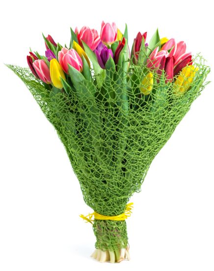 tulipany-kolorowe.jpg