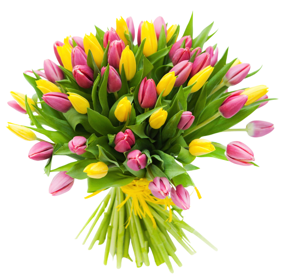 wiosenne-tulipany.png